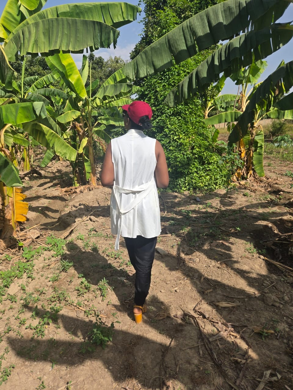 Charger la vidéo : 